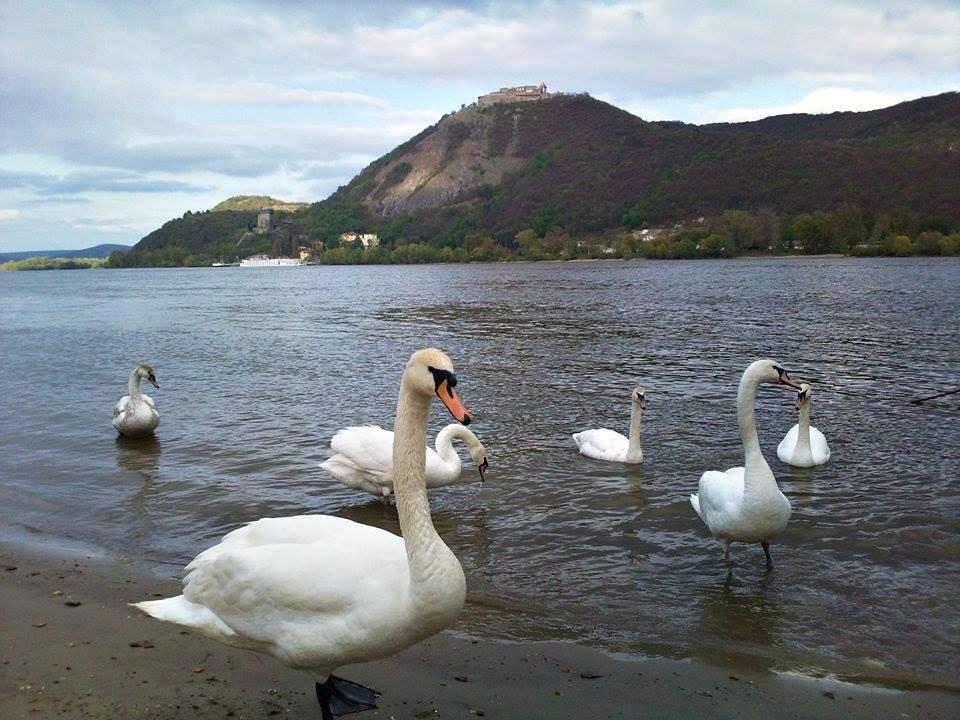Готель Bonifert Vendeghaz Dunabogdany Екстер'єр фото